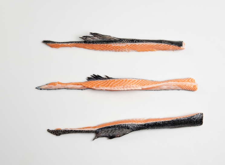 Frozen Salmon Trimmings 3pcs